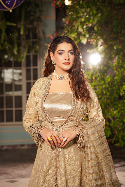 Embroidered Chiffon Tial Gaon