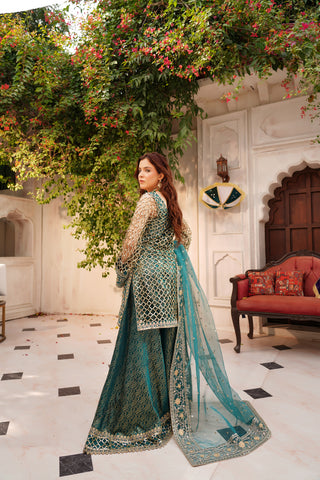 Embroidered Organza GHARARA Shirt