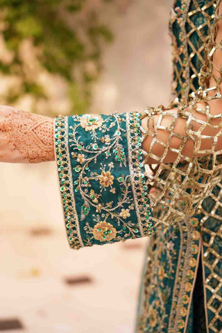 Embroidered Organza GHARARA Shirt