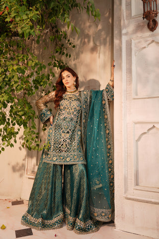 Embroidered Organza GHARARA Shirt