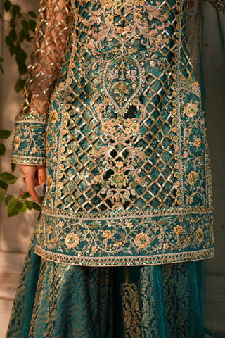 Embroidered Organza GHARARA Shirt