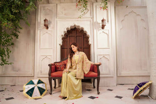 Embroidered Organza Lehenga Koti