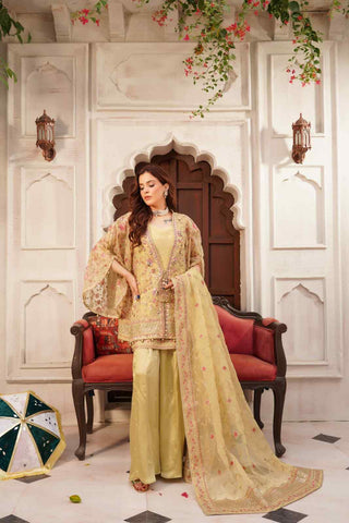 Embroidered Organza Lehenga Koti