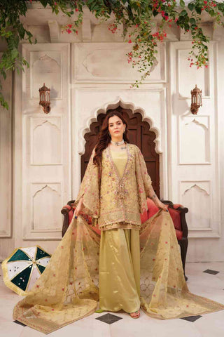 Embroidered Organza Lehenga Koti