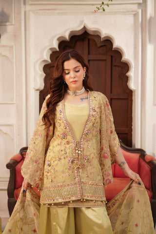 Embroidered Organza Lehenga Koti