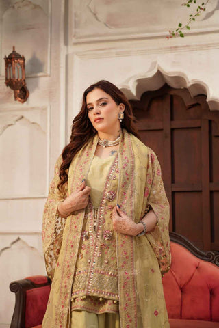 Embroidered Organza Lehenga Koti