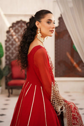 Embroidered Chiffon Empire Anarkali Frock