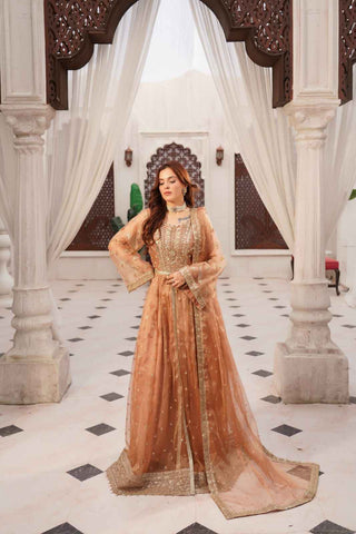 Embroidered Zari Net Open Panel Frock