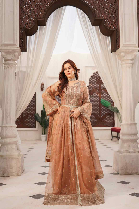 Embroidered Zari Net Open Panel Frock