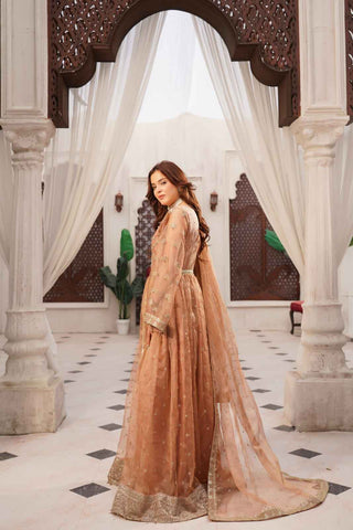 Embroidered Zari Net Open Panel Frock