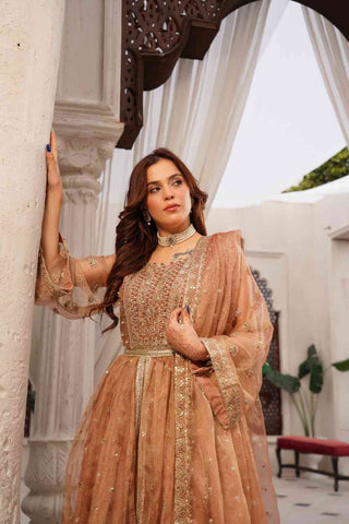 Embroidered Zari Net Open Panel Frock