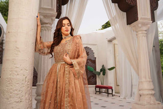 Embroidered Zari Net Open Panel Frock