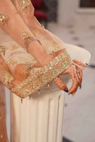 Embroidered Zari Net Open Panel Frock