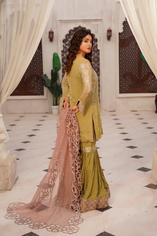 Embroidered Chiffon Sharara with Got