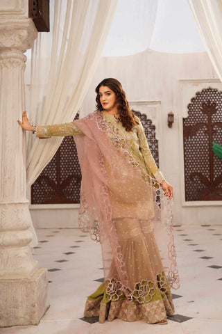 Embroidered Chiffon Sharara with Got