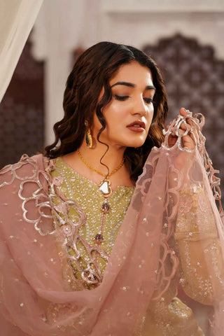 Embroidered Chiffon Sharara with Got