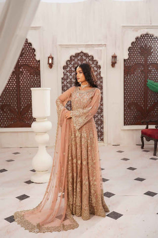 Embroidered Poly Net Anarkali Gown