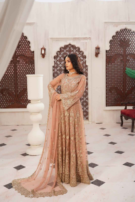 Embroidered Poly Net Anarkali Gown