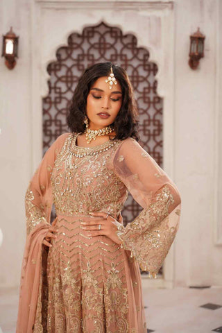 Embroidered Poly Net Anarkali Gown