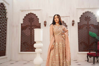 Embroidered Poly Net Anarkali Gown