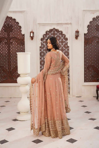Embroidered Poly Net Anarkali Gown