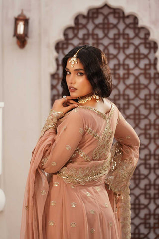 Embroidered Poly Net Anarkali Gown