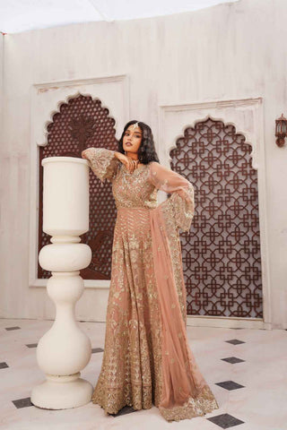 Embroidered Poly Net Anarkali Gown