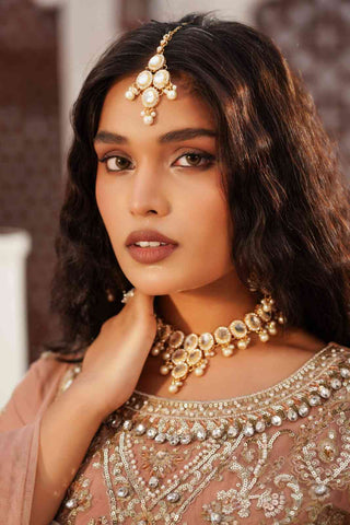 Embroidered Poly Net Anarkali Gown