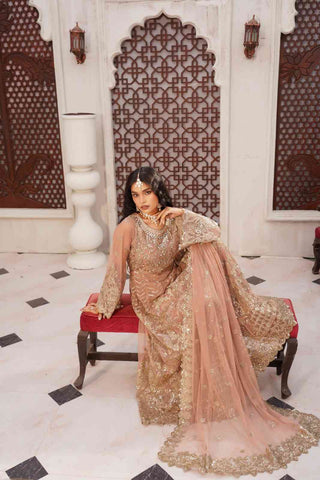 Embroidered Poly Net Anarkali Gown