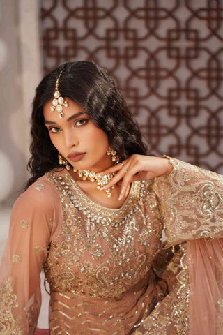 Embroidered Poly Net Anarkali Gown