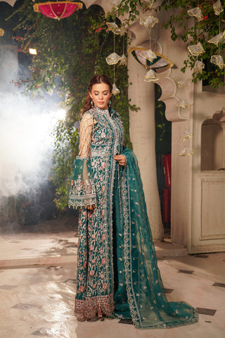 Embroidered Organza Open Panel Gown