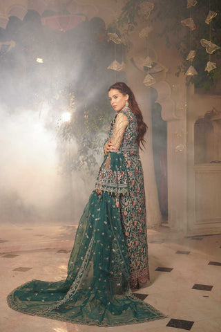 Embroidered Organza Open Panel Gown