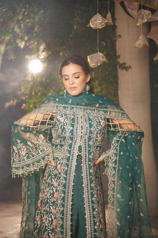 Embroidered Organza Open Panel Gown