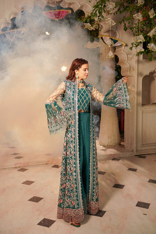 Embroidered Organza Open Panel Gown