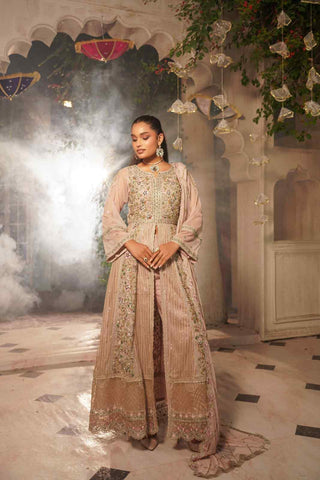 Embroidered Poly Net Open Pishwas