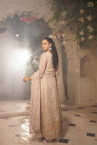 Embroidered Poly Net Open Pishwas