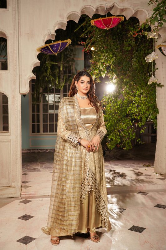 Embroidered Chiffon Tial Gaon