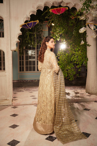 Embroidered Chiffon Tial Gaon