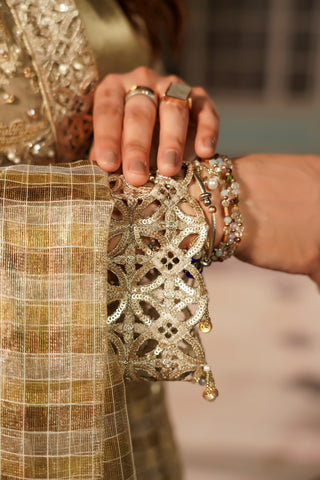 Embroidered Chiffon Tial Gaon