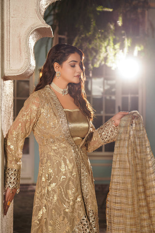 Embroidered Chiffon Tial Gaon