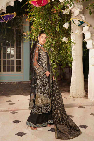 Embroidered Organza Open Shirt Gown