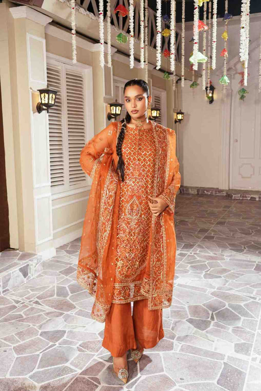 Embroidered Organza kameez suit