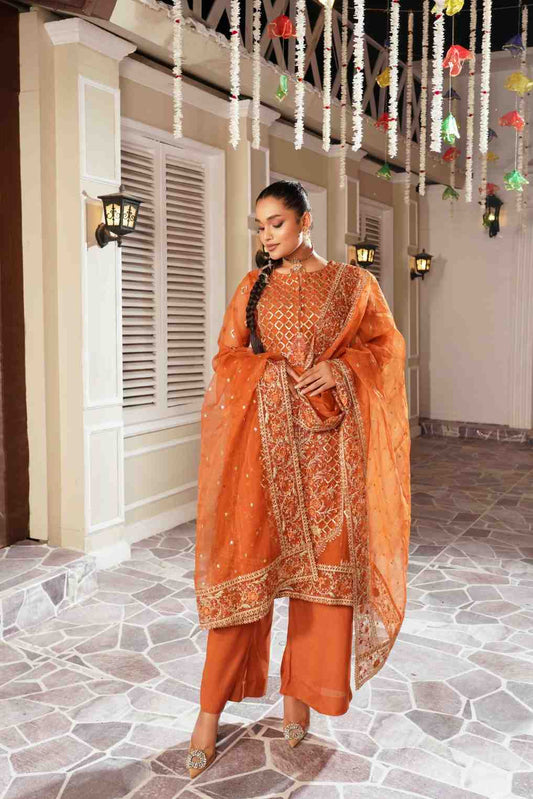 Embroidered Organza kameez suit