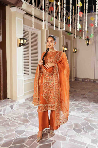 Embroidered Organza kameez suit