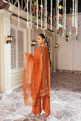 Embroidered Organza kameez suit
