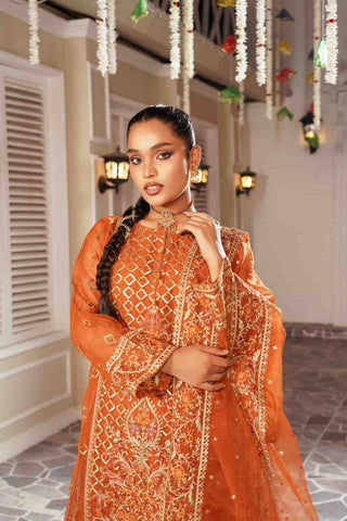 Embroidered Organza kameez suit