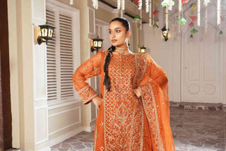 Embroidered Organza kameez suit