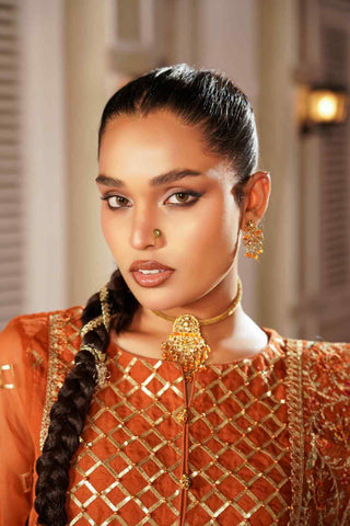 Embroidered Organza kameez suit