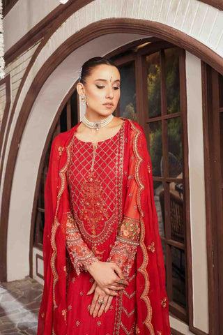 Embroidered Chiffon Farshi Shalwar Kameez