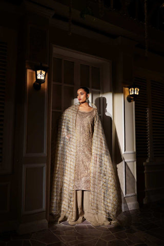 Embroidered Raw Silk Valvat